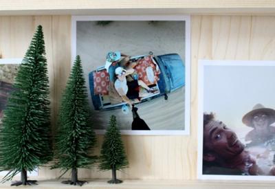 NOCH Hobby 26828 Set bomen Besneeuwde zilverspar 50 tot 140 mm Sneeuwwit 25 stuk(s)