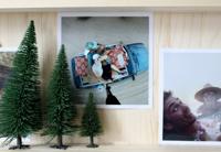 NOCH Hobby 26820 Set bomen Zilverspar 50 tot 140 mm Donkergroen 25 stuk(s) - thumbnail