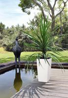 LECHUZA Jardiniere Cubico Kleur 40 ALL-IN-ONE Leisteen 13158 421429 - thumbnail