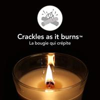 Woodwick Island Coconut Large Candle - thumbnail