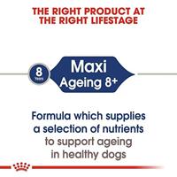 Royal Canin Maxi Ageing natvoer hond (in saus) 1 doos (10 x 140 g) - thumbnail
