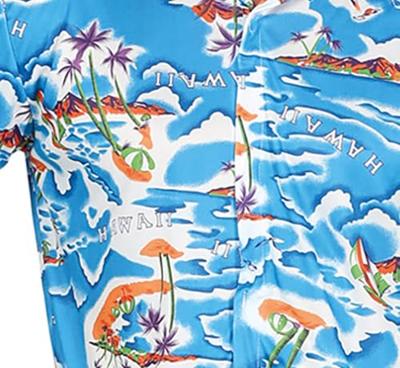 Hawaii Shirt Man