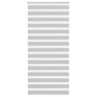 VidaXL Zebra rolgordijn 100x200 cm stofbreedte 95,9 cm lichtgrijs - thumbnail
