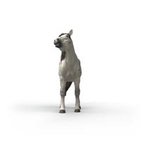 schleich HORSE CLUB Knabstrupper ruin 14916 - thumbnail