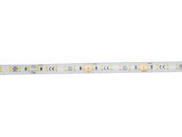 EUROLITE LED IP Strip 600 5m 2835 2700K 24V - thumbnail