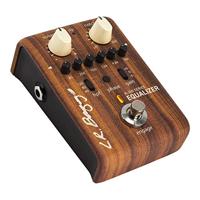 LR Baggs Align Series Equalizer - thumbnail