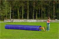BZ AGILITY TUNNEL LARGE 525X60X60 - thumbnail