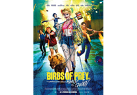Birds Of Prey - DVD (5051889664116) - thumbnail