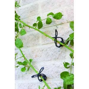 Klimplantband Klimplantband