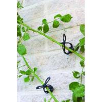 Klimplantband - thumbnail