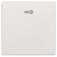 Siemens 5TG71481 Platina Schakelmateriaal 1 stuk(s)