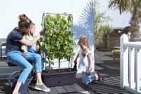 Elho Green Basics Veggie Wall 80cm - thumbnail