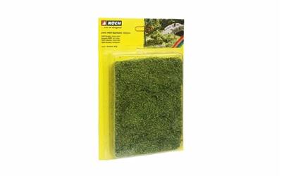NOCH 7310 Struik Groen (gemiddeld)