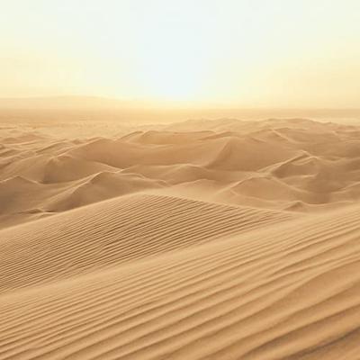 Noordwand Atmosphere Fotobehang met woestijn G78423