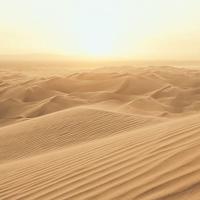 Noordwand Atmosphere Fotobehang met woestijn G78423 - thumbnail