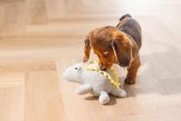 Beeztees Puppy Dinosaurus Vince - Hondenspeelgoed - Groen - 19x14,5x9 cm - thumbnail