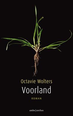 Voorland - Octavie Wolters - ebook