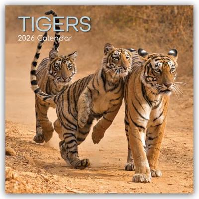 Tijger Kalender 2026