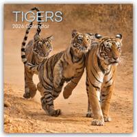 Tijger Kalender 2026 - thumbnail