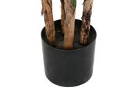 Decoratieve plant DKD Home Decor (90 x 90 x 200 cm) - thumbnail