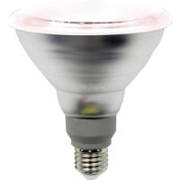 LightMe LED-plantenlamp LM85322-2 132 mm 230 V, 220 V, 240 V E27 15 W Reflector 1 stuk(s) - thumbnail