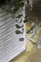 Capi plantenbak nature row vierkant 30x30 cm antraciet krwz902 - thumbnail