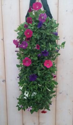 Hangzak/Hangkoker Surfina Kleur Varieert Warentuin Natuurlijk - Warentuin natuurlijk Hangzak/Hangkoker Surfina Kleur Varieert Warentuin Natuurlijk - Warentuin natuurlijk