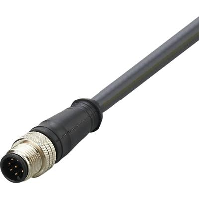 ifm Electronic E12436 Verbindingskabel Aantal polen (sensoren): 8 Stekker, recht 2 m 1 stuk(s)