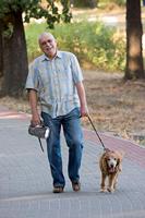 Oplaadbare LED-handspot Velamp ICARO 3 W 170 LM - thumbnail