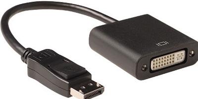 ACT 15 cm Verloop kabel DisplayPort male naar DVI female