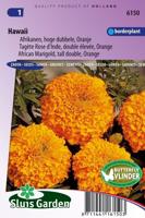 Tagetes Erecta zaden Hawaii afrikaantje - thumbnail