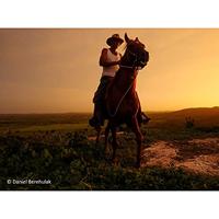 Panasonic Leica DG Summilux 15mm F/1.7 ASPH - thumbnail