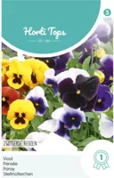 Zaden Viola Viool Zwitserse Reuzen Hortitops - Hortitops - thumbnail