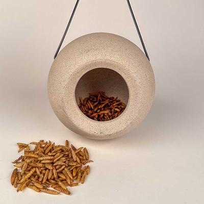 Voederpakket - Voederbol Lisa + 500 gram gedroogde meelwormen