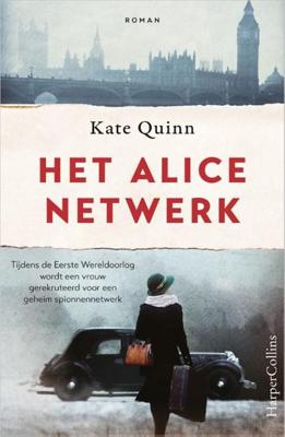Het Alice-netwerk (Paperback)