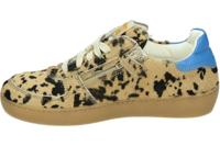 Ocra 126C - alle - thumbnail