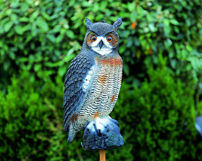 Ubbink Kleine Uil waterornament Ubbink Kleine Uil waterornament