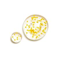 L&apos;Occitane Immortelle Reset Eye Serum 15ml - thumbnail
