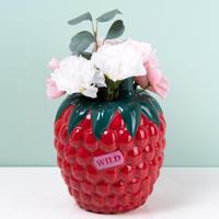 Framboos Vaas - thumbnail