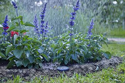 Gardena Bodemvochtigheidssensor voor Efficiënte Tuinbewatering & Duurzaamheid - thumbnail