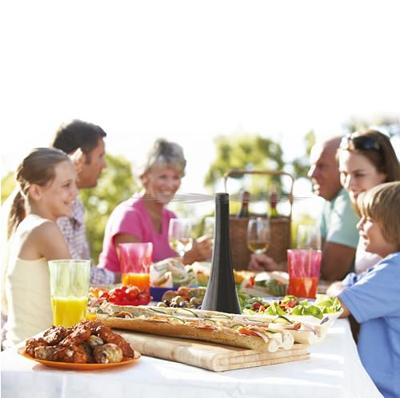 Fly Away Elektrische Insectenverjager Zwart