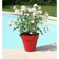 RIVIERA Soleilla Bloempot - Rond - Ø 39,2 x 35,8 cm - Rood - thumbnail