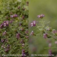 Tiffen 72mm Variable ND Filter - thumbnail