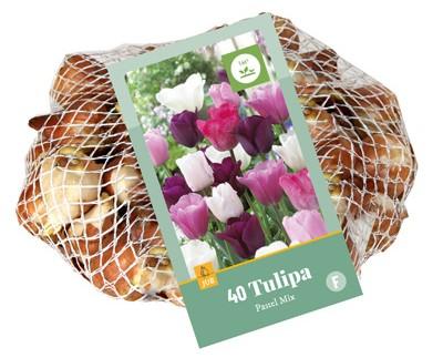 Bloembollen Tulipa Pastel Mix 35st