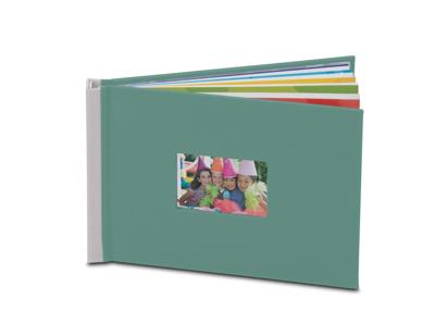 Sabal serrulata D4 Sabal serrulata D4