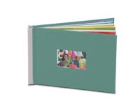 Sabal serrulata D4 - thumbnail