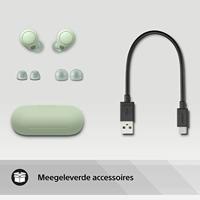 Sony WFC700NG.CE7 In Ear oordopjes Bluetooth Stereo Saliegroen Noise Cancelling Oplaadbox, Bestand tegen zweet, Volumeregeling HiFi - thumbnail