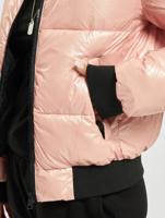 Champion / Bomberjack Legacy in rose - thumbnail