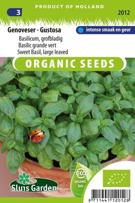 Basilicum biologische zaden - Genoveser - Gustaso Basilicum biologische zaden - Genoveser - Gustaso