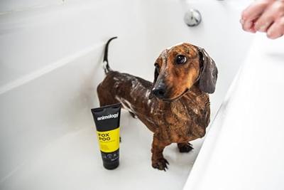 Animology Fox Poo Shampoo